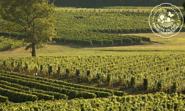 HVE Vignes Site V2 HVE Vignes Site V2